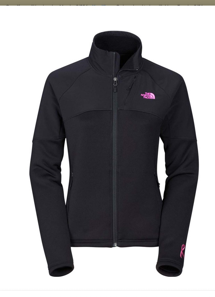 THE NORTH FACE TNF Momentum 300 Fleece Jacket Women Pink Ribbon Size