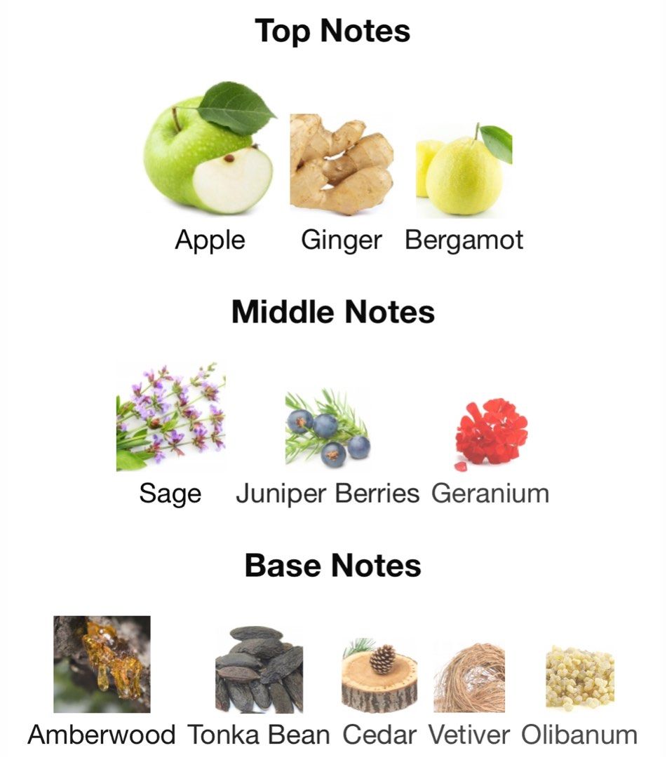 ysl y eau de parfum notes