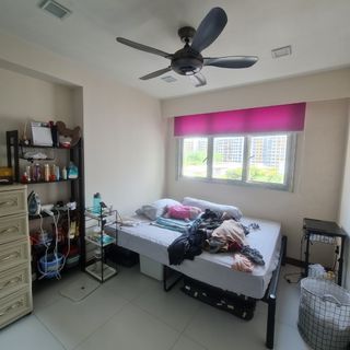 329b Anchorvale Street Anchorvale Harvest
