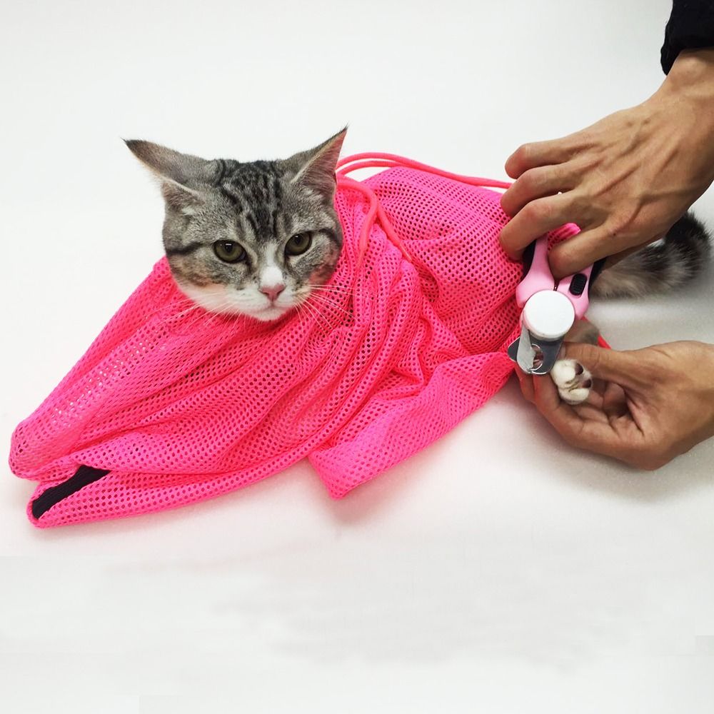 Cat grooming bag reviews online