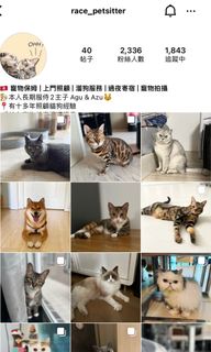 （分類：）位於 。 由 racelam88 提交（商品編號 1256690429，圖片 1）。簡介： 。