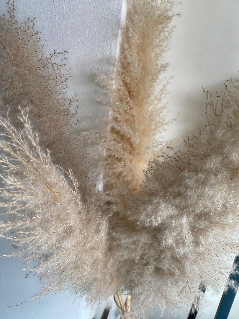 Aesthetic Dried flowers with vase., Furniture & Home Living, Home Decor ...