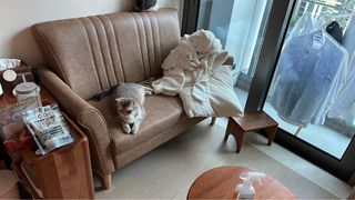 （分類：）位於 。 由 nico0893 提交（商品編號 1256798165，圖片 1）。簡介： 。