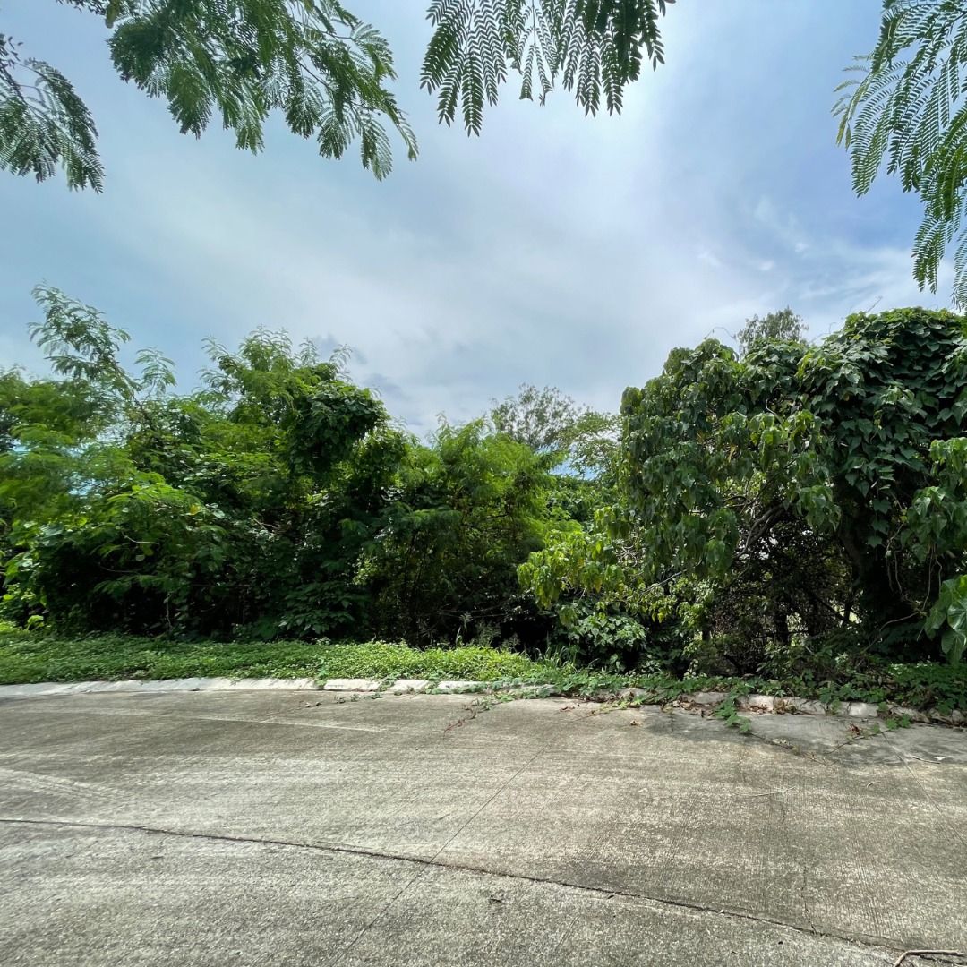 ASE FOR SALE 825 sqm Lot in Promenade, Sta Rosa, Laguna, Property