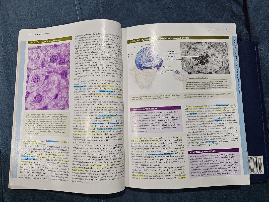AUTHENTIC Junqueira's Basic Histology: Text and Atlas Fifteenth Edition (Category: Textbooks) located in Pasig City. Submitted by kabechoco (Listing ID 1256664735, Image 3). Description: Junqueira's Basic Histology: Text and Atlas Fifteenth Edition - Authentic copy - Purchased in 2020 from official C&E bookshop - Pages are good quality, colored, and have a glossy finish - Condition is like brand new, but with some highlights/annotations in the fi