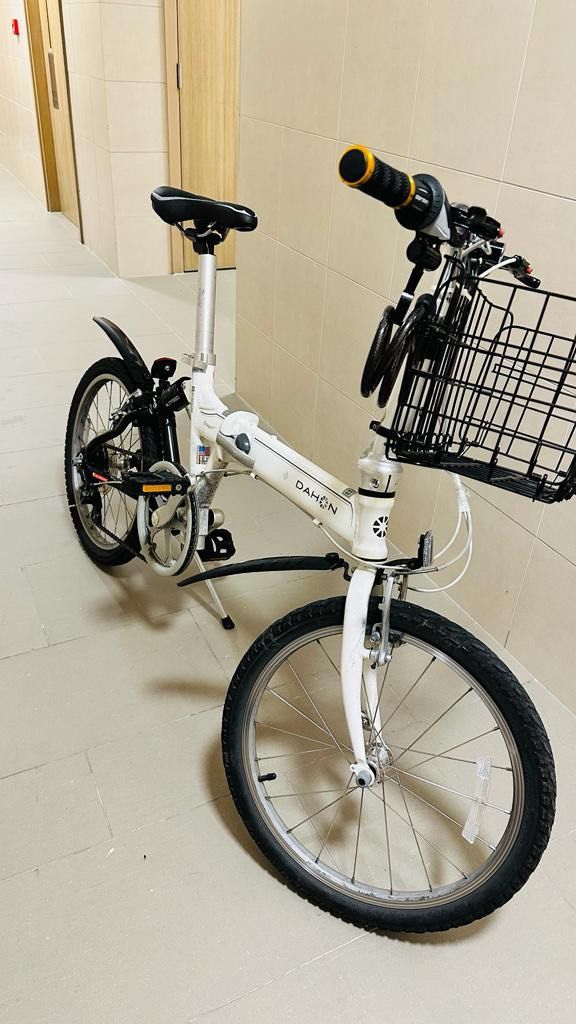 Dahon dragon hot sale