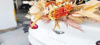 (Category: ) located in . Submitted by sgbridalcars (Listing ID 1093311938, Image 1). Description: .
