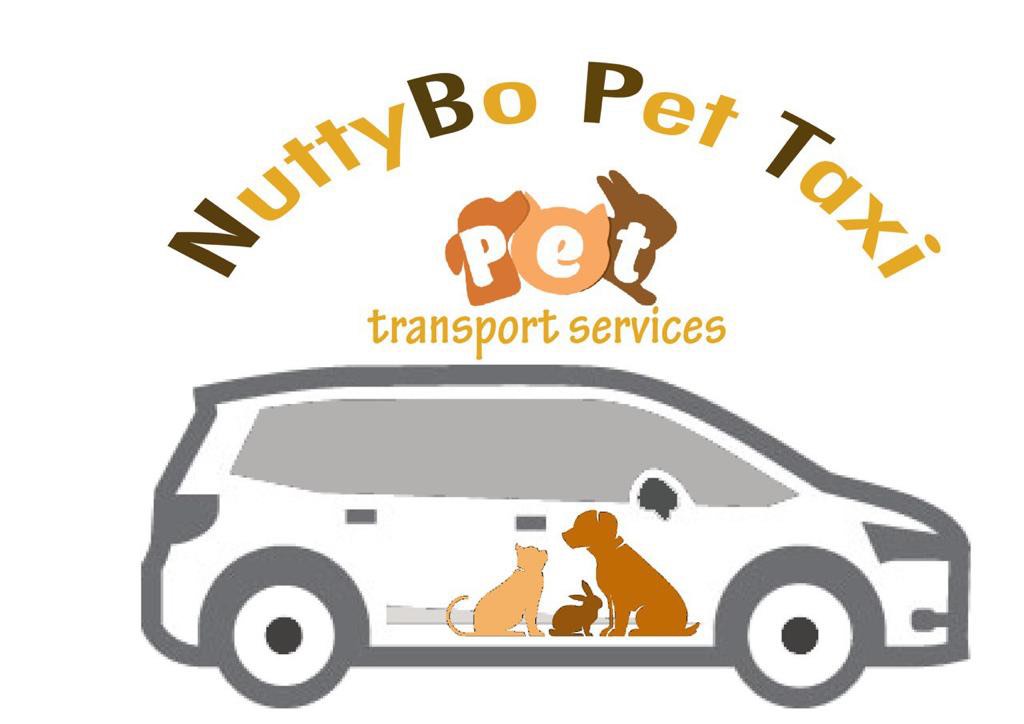 NuttyBo Pet Taxi, Pet Supplies, Homes & Other Pet Accessories on Carousell