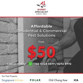 Pest Control | Affordable and Effective