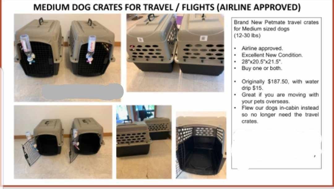 Electronic crate 2025 for pets