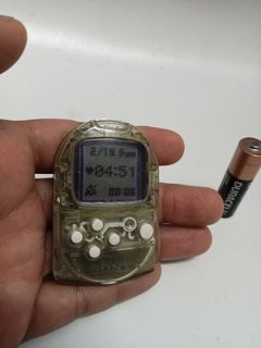 Pocket Station