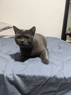 （分類：）位於 。 由 snuffie_ 提交（商品編號 1256692697，圖片 1）。簡介： 。