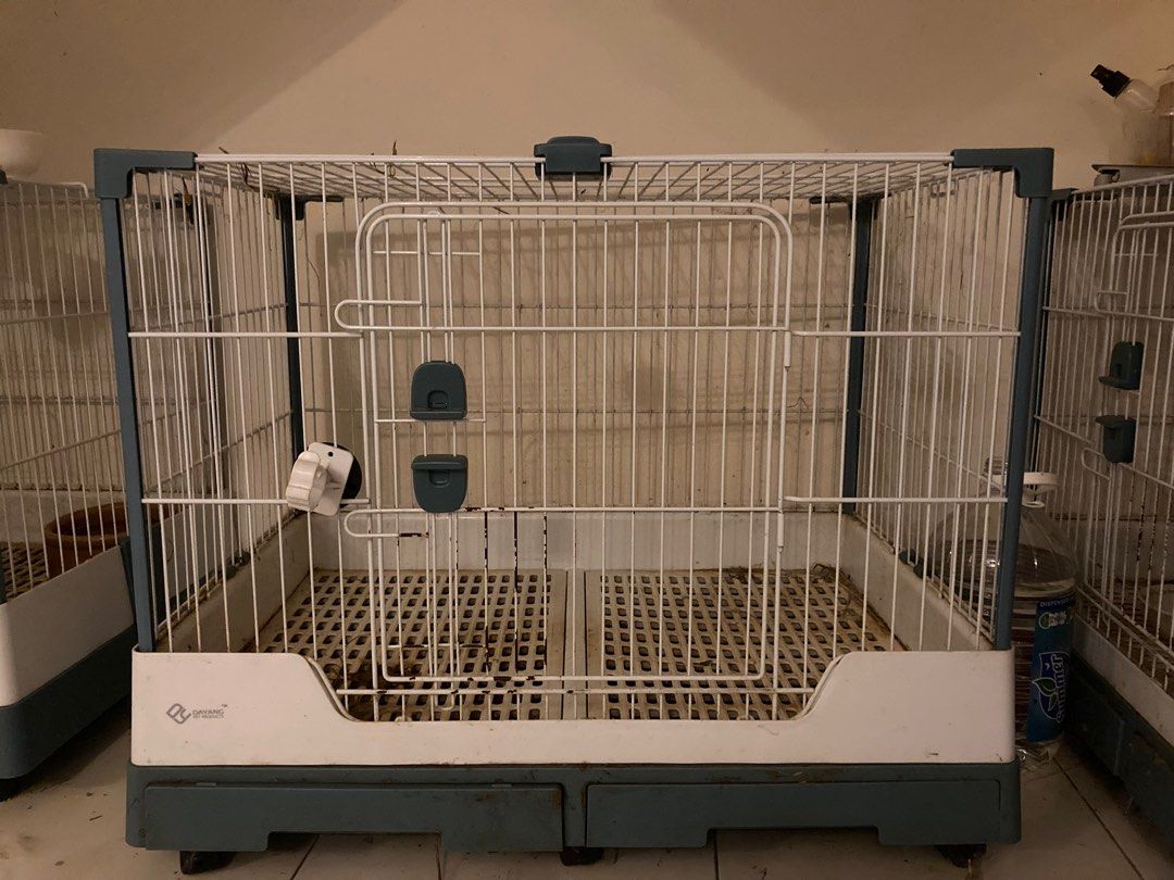 Rabbit cage with urine guard and double tray, Pet Supplies, Homes