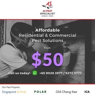 Reliable Pest Control | Affordable and Effective