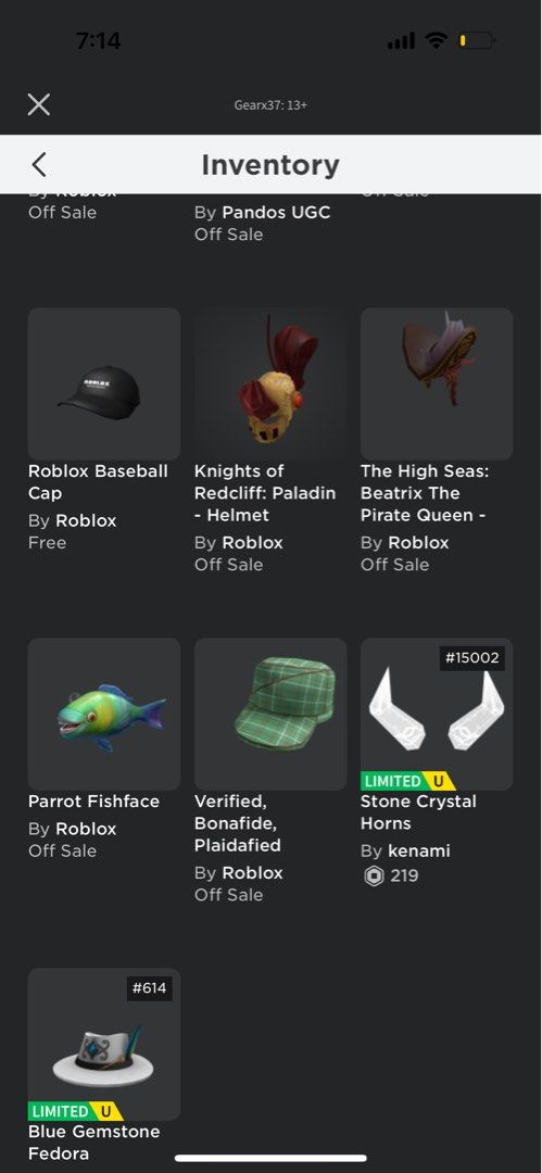 roblox account stacked (Blox fruits lvl(2333)) (Dh modded loaded) and more.