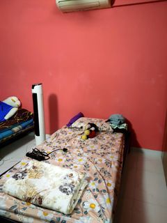Room Share for female $595 City/Bugis/Tekka/Jalan sultan