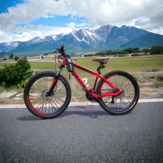 Mountain bike hot sale cash converters
