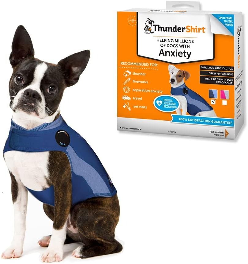 Anxiety shirt for dogs online