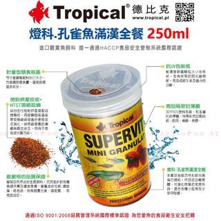 Tropical 燈科、孔雀魚滿漢全餐