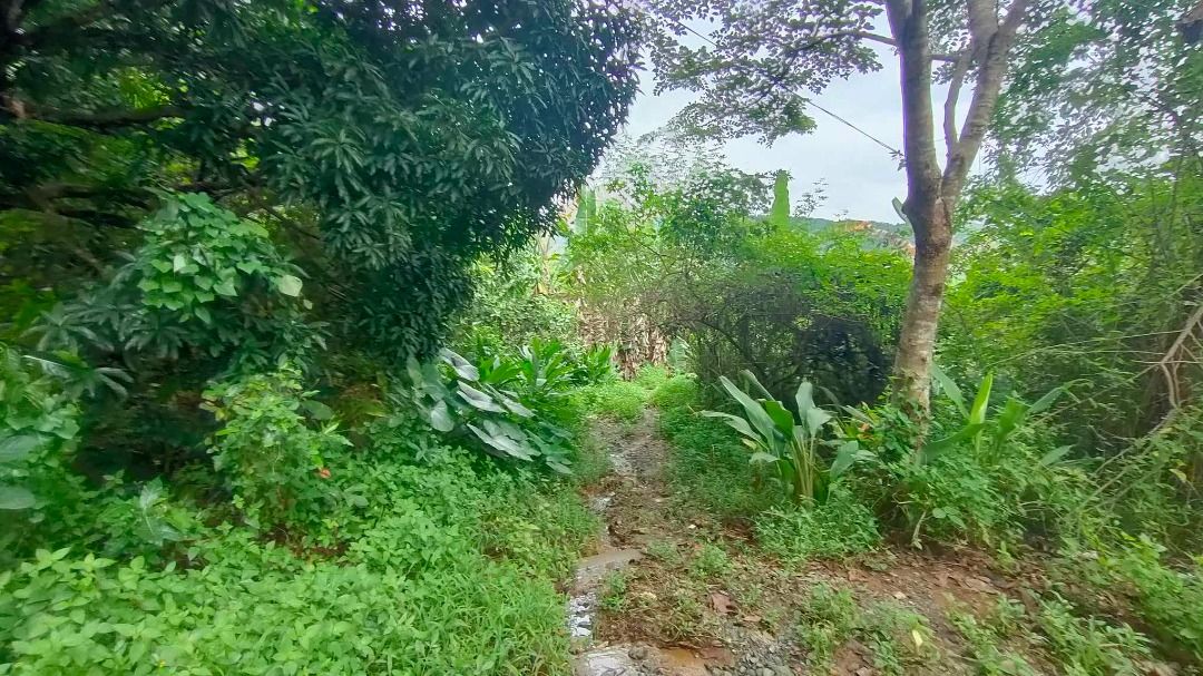 1.8 hectares Farm Land for sale in Baras, Rizal, Property, For Sale