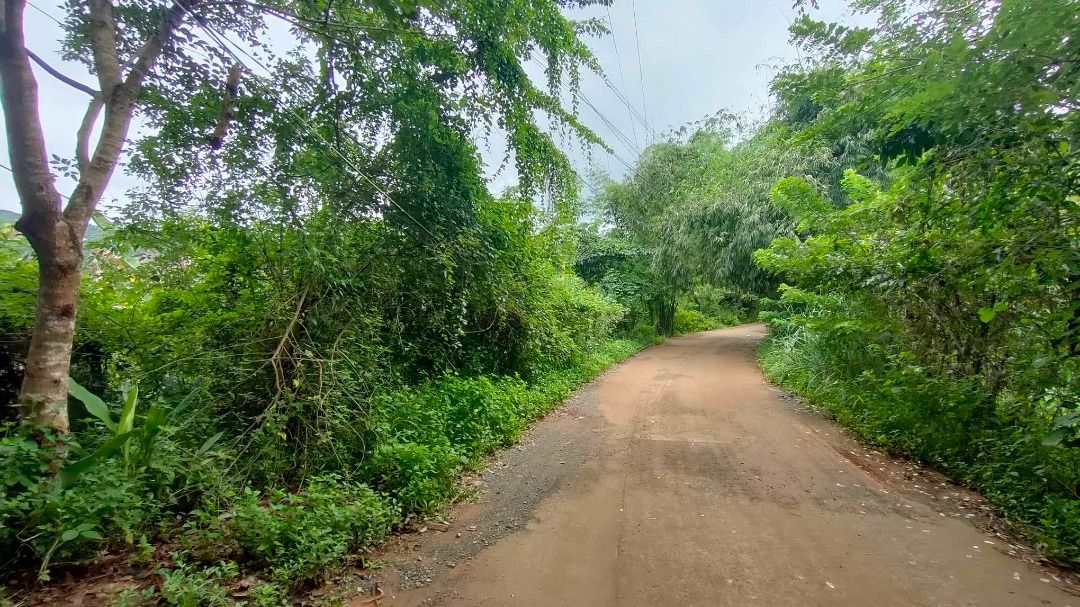 1.8 hectares Farm Land for sale in Baras, Rizal, Property, For Sale