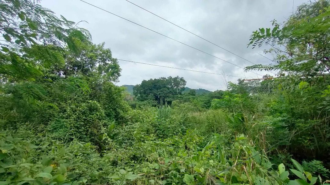 1.8 hectares Farm Land for sale in Baras, Rizal, Property, For Sale