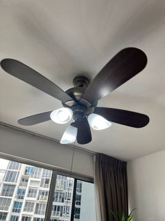 (Category: ) located in . Submitted by dharansh44 (Listing ID 1256952649, Image 1). Description: .