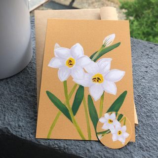 花卉明信片｜4張插畫| 太陽花|蘭花|雞蛋花|水仙花