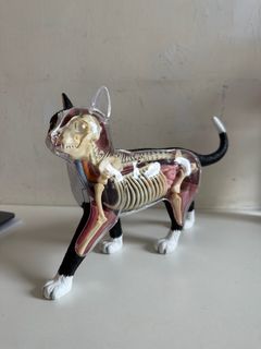 （分類：）位於 。 由 ipkowk411 提交（商品編號 1256874176，圖片 1）。簡介： 。
