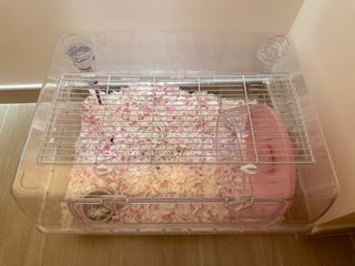 （分類：）位於 。 由 kakakaka13 提交（商品編號 1256874680，圖片 1）。簡介： 。