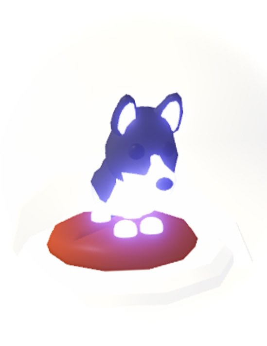 Adopt Me, Australian Kelpie (neon ride), Video Gaming, Gaming ...