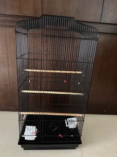 (Category: ) located in . Submitted by jessgeow (Listing ID 1256869614, Image 1). Description: .