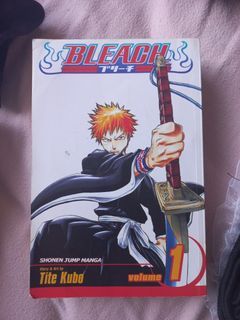 Bleach volume 1