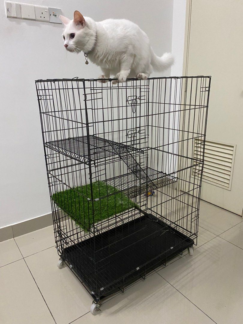 Used cat cage top