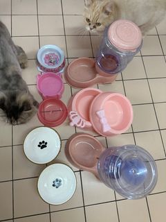 Cat pet bowl