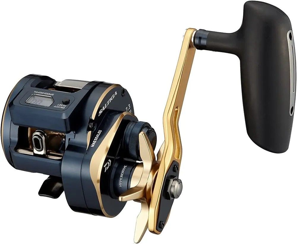 Daiwa saltiga ic 300HL-SJ, Sports Equipment, Fishing on Carousell