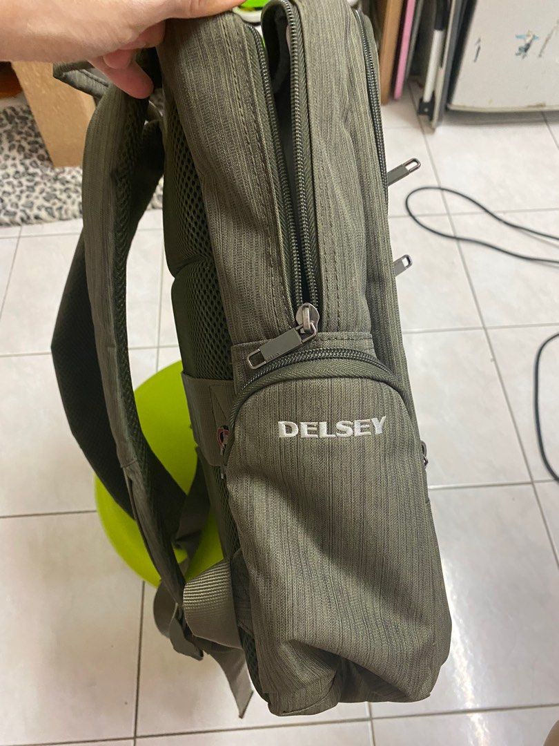 Delsey clair top laptop backpack