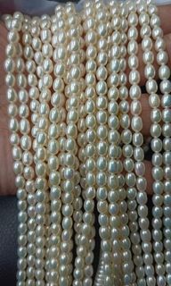 (Category: ) located in . Submitted by aishahgirlshop (Listing ID 1257003908, Image 1). Description: .