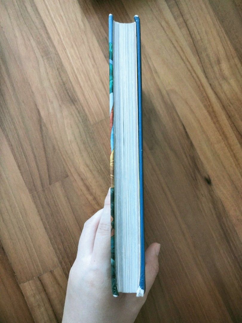 Geronimo Stilton The Journey Through Time Hobbies Toys Books