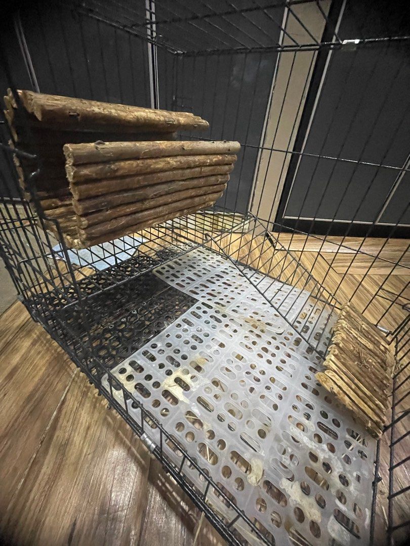 30x36 guinea outlet pig cage