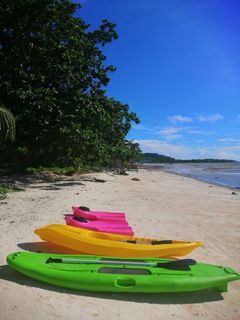 KAYAK