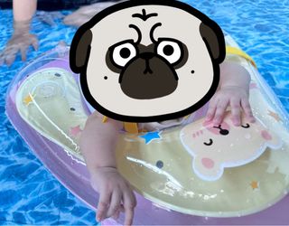 由 lovbbb (刊登 ID 1256986866，圖片 1) 提交，位於 的 (類別：)，說明：。