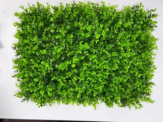(Category: ) located in . Submitted by altonflowerscomm (Listing ID 1256847706, Image 1). Description: .