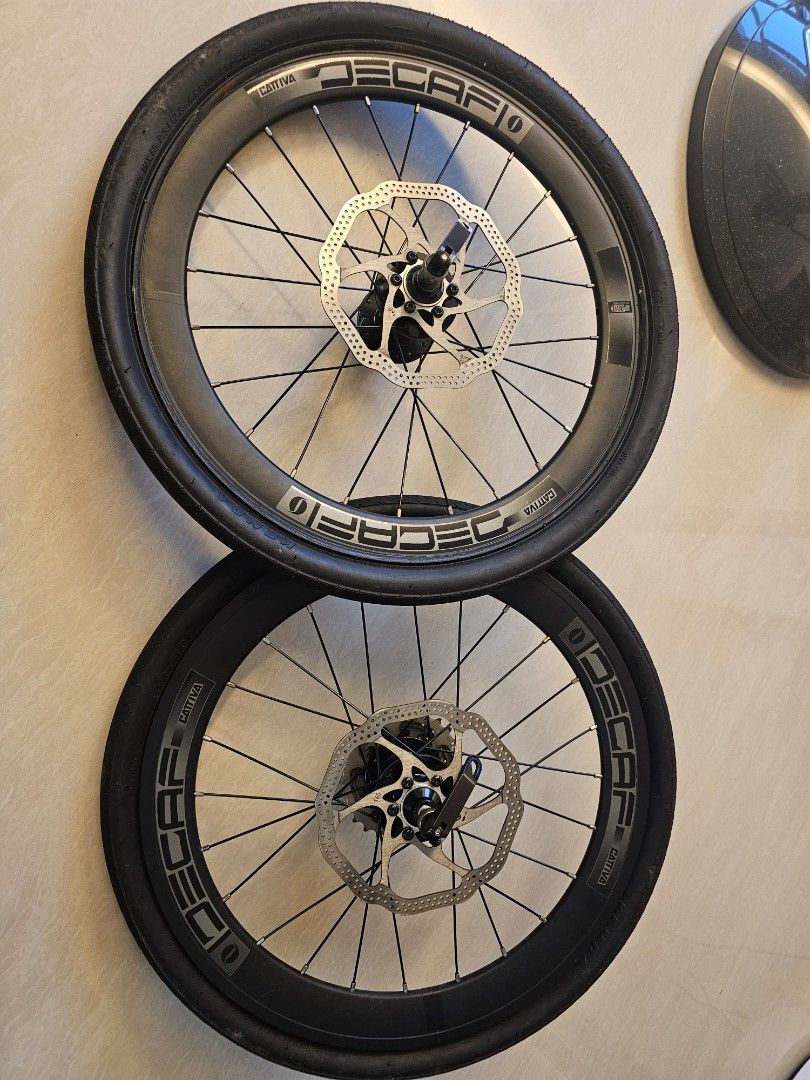 Decaf cattiva best sale wheels