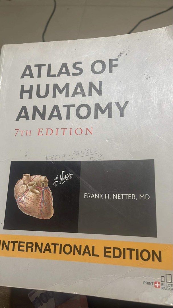 Atlas of Human anatomy (Netter), Hobbies & Toys, Books & Magazines ...