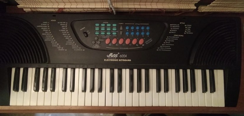 Beginner Piano Keyboard Miles 600A Hobbies Toys Music
