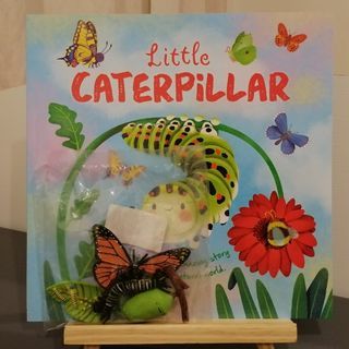BUNDLE Little Caterpillar with Butterfly Life Cycle Simulation