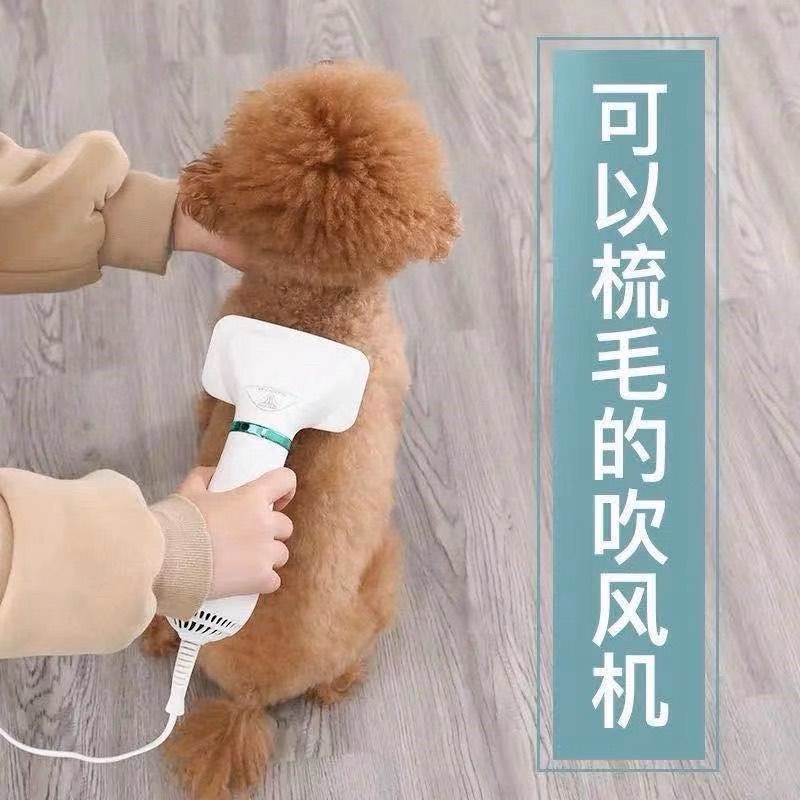 Dog brush blower dryer, Pet Supplies, Homes & Other Pet Accessories on Carousell