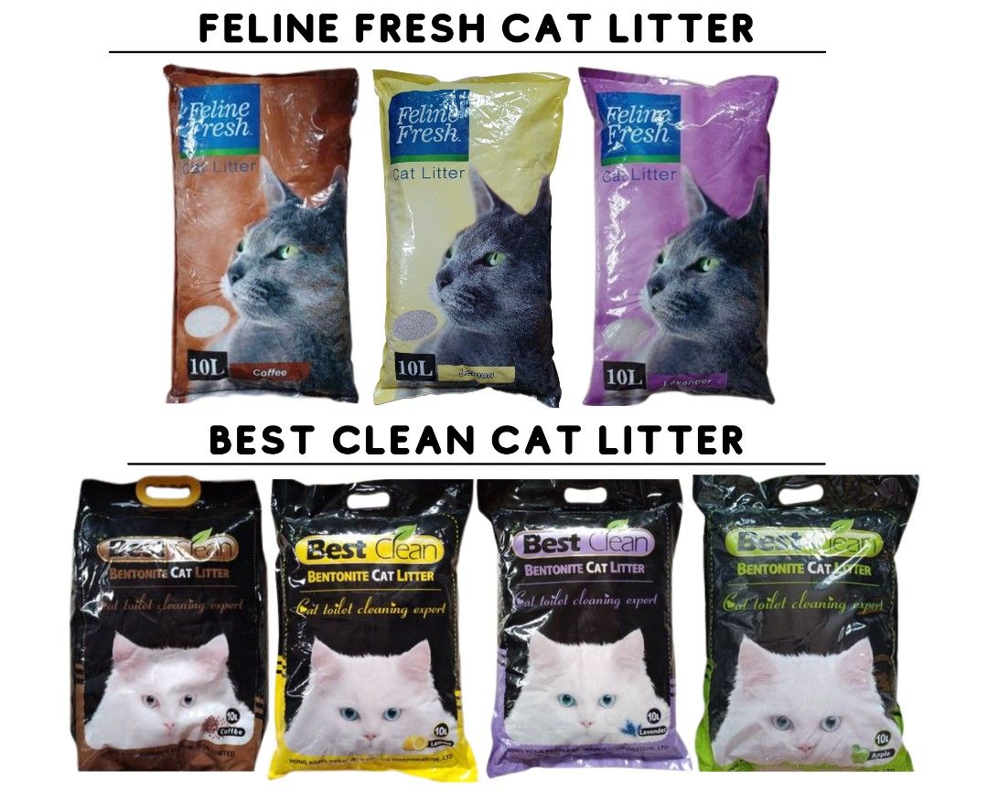 Best clean litter online
