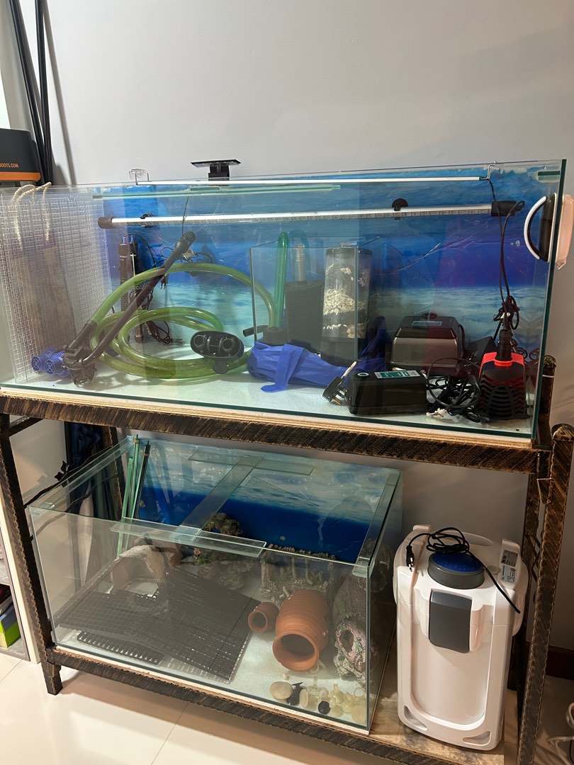 Fish Tank Set 4ft,3ft w stand .Whole set, Pet Supplies, Homes & Other